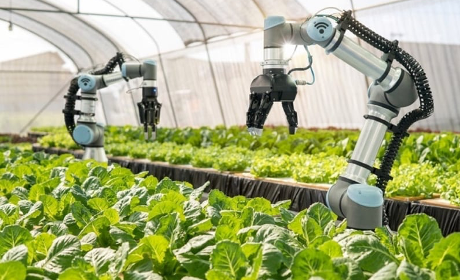 Driving breakthroughs through science, technology, and digital transformation in agriculture and environment